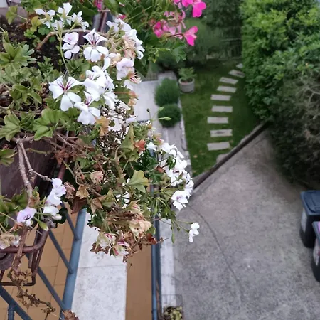 Palme Opatija